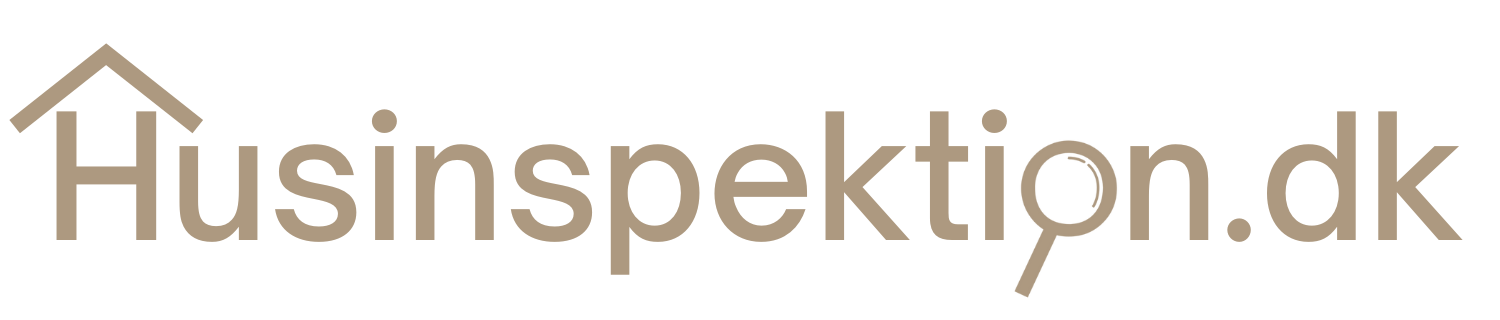Husinspekti n.dk (1)